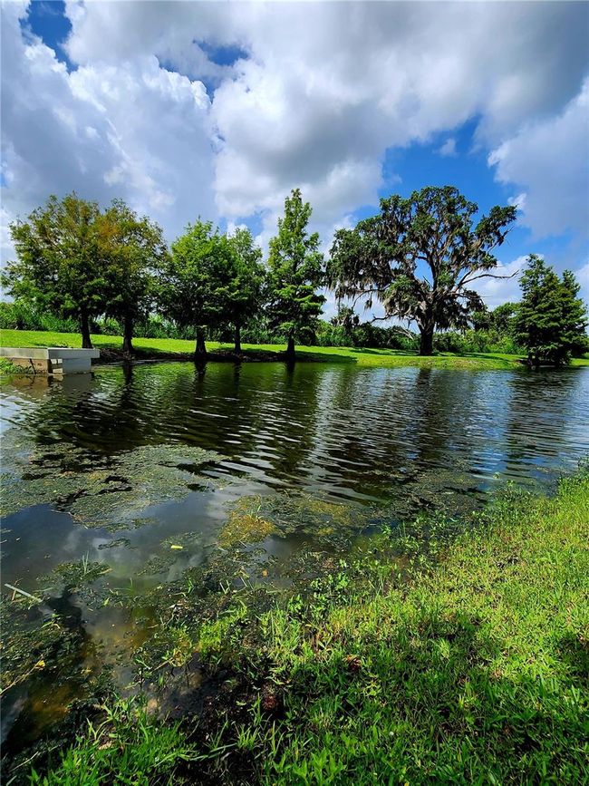 813 Marsh Reed Dr, House other with 5 bedrooms, 4 bathrooms and null parking in Winter Garden FL | Image 14
