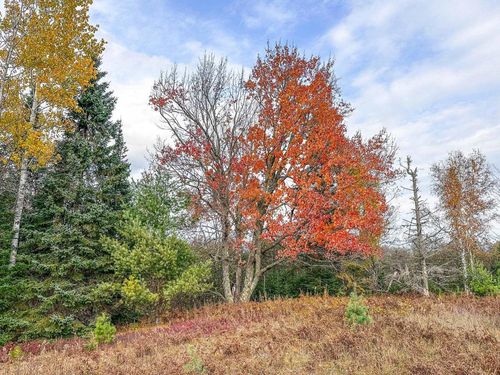 1.36A Darlaks Bay Lane, Worcester, WI, 54555 | Card Image