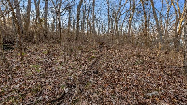 0 Highway M, Home with 0 bedrooms, 0 bathrooms and null parking in Villa Ridge MO | Image 13