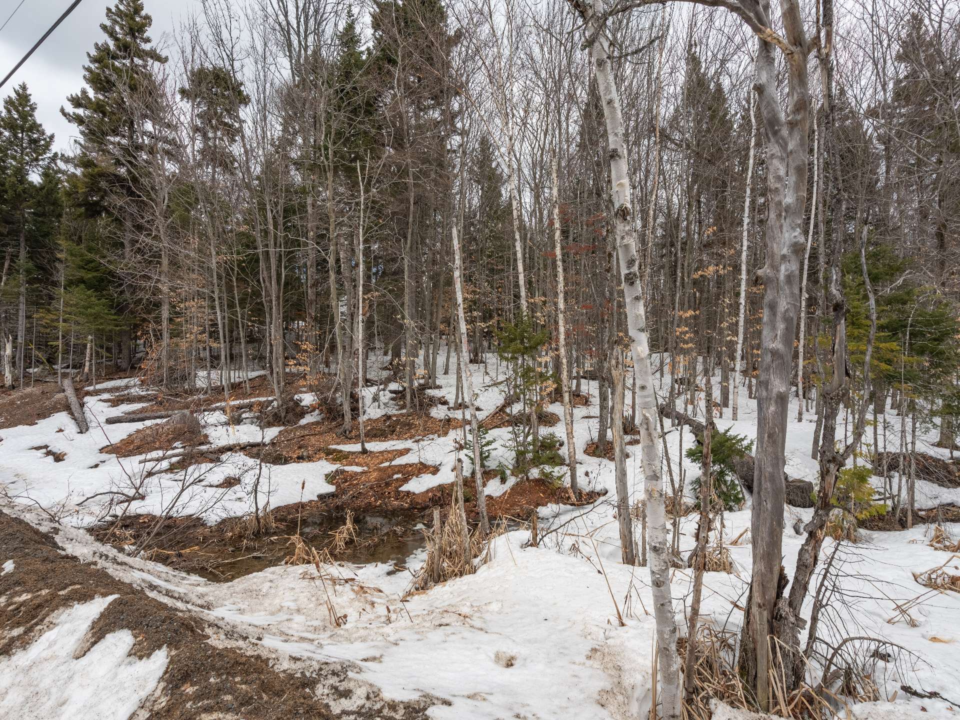 Land in Morin-Heights 2