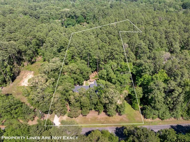 18076 Deer Trl, House other with 4 bedrooms, 5 bathrooms and null parking in Flint TX | Image 45