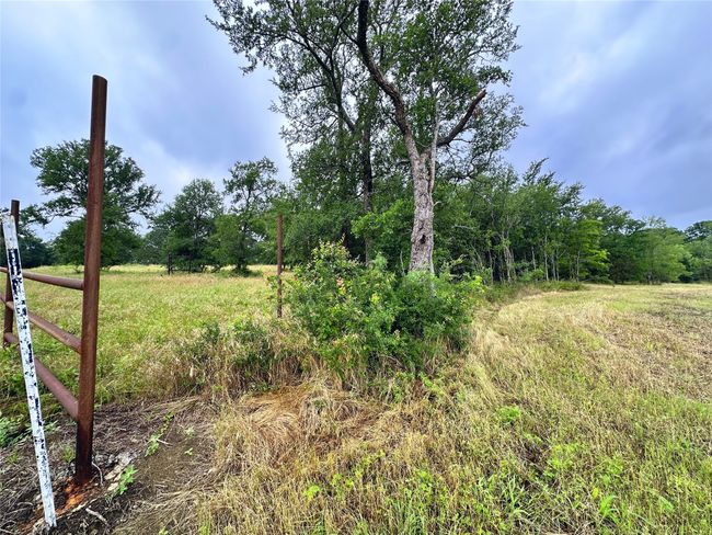 Lot 6 & TBD BTSLP# Emerald Lane, Home with 0 bedrooms, 0 bathrooms and null parking in Corsicana TX | Image 31