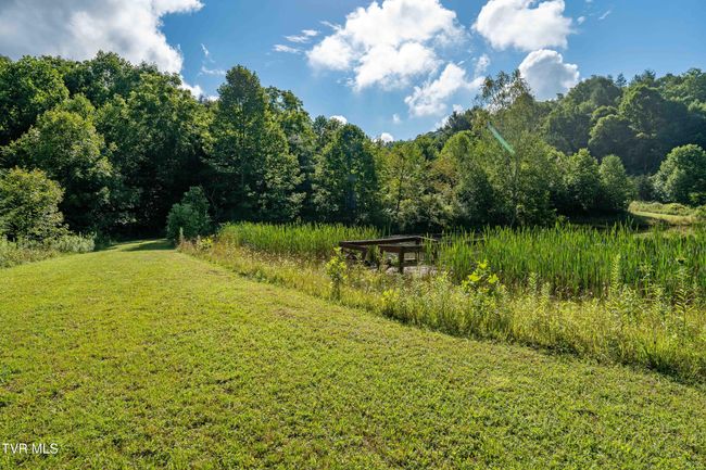 306 Bear Branch Rd, Home with 0 bedrooms, 0 bathrooms and null parking in Roan Mountain TN | Image 30