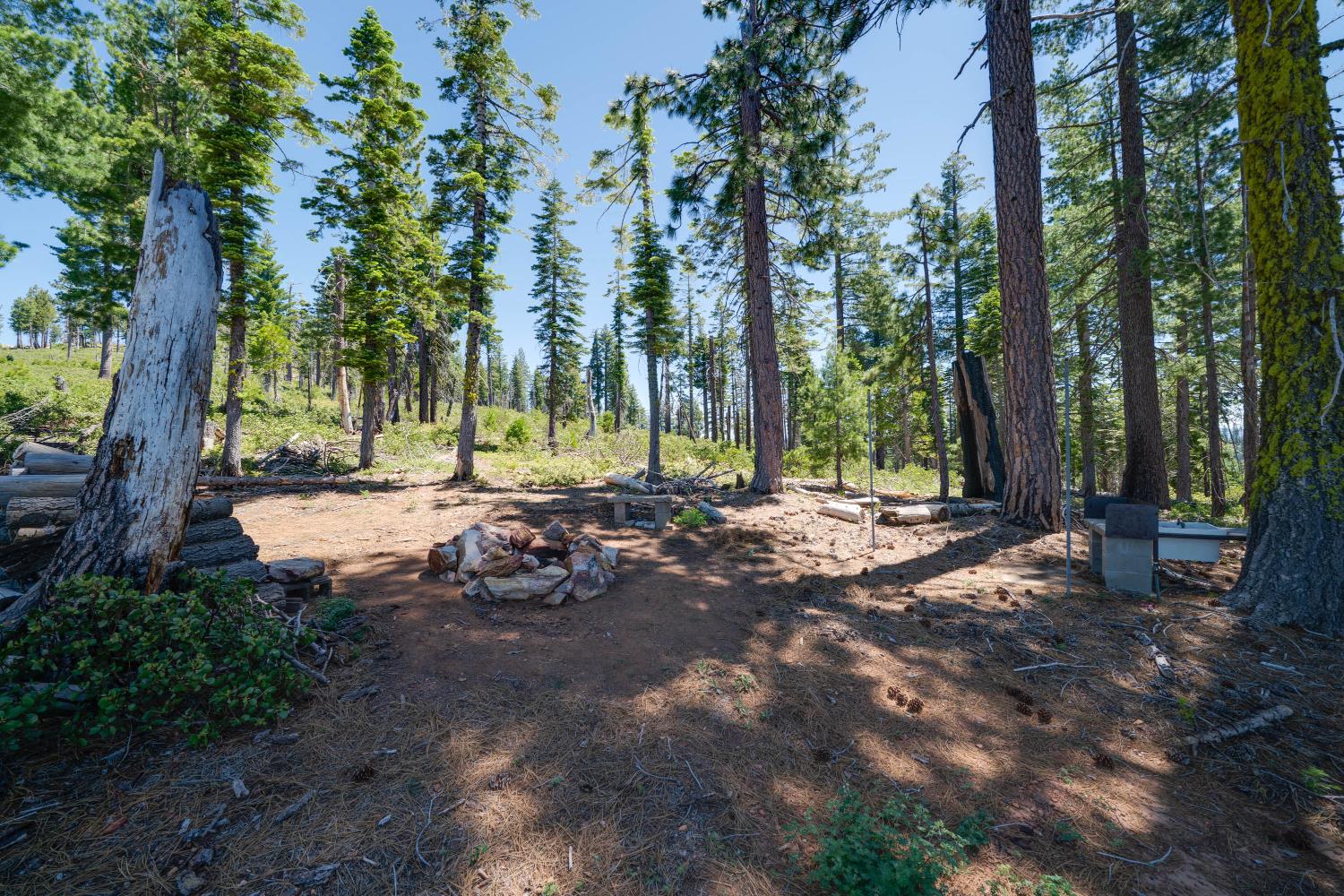 Land in Emigrant Gap 5