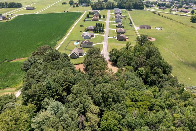 0 Majestic Dr, Home with 0 bedrooms, 0 bathrooms and null parking in Decherd TN | Image 26