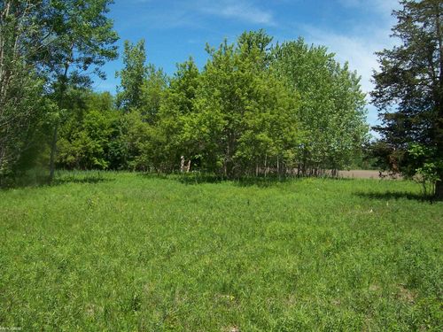 Lot 1 Lapeer Rd Road, Kimball Township, MI, 48074 | Card Image