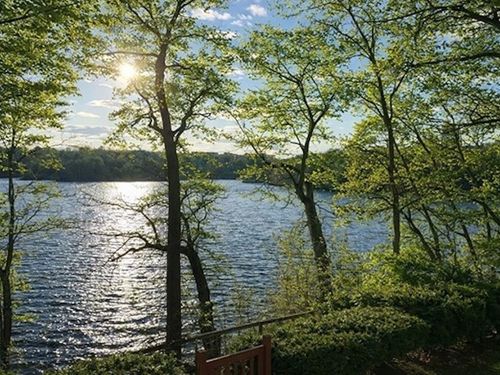 95-93-95 Riverview Ave, Waltham, MA, 02453-3819 | Card Image