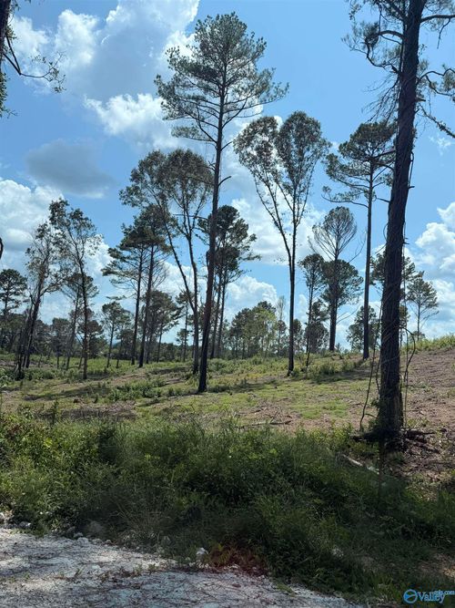 Lot 35 County Road 158, Centre, AL, 35960 | Card Image
