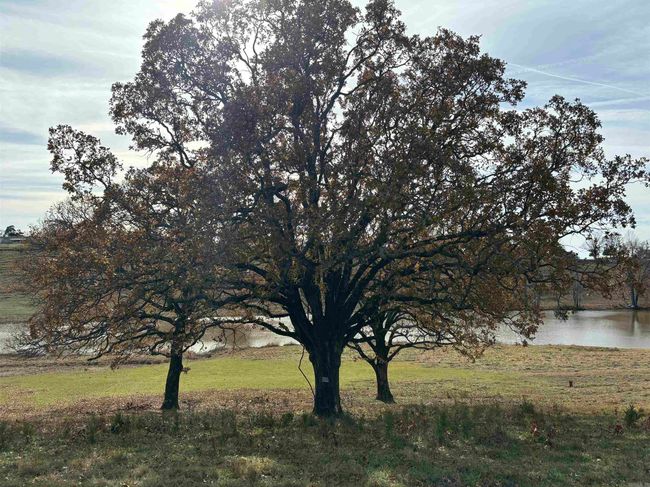 00 Cadron Gap Rd, Home with 0 bedrooms, 0 bathrooms and null parking in Conway AR | Image 15