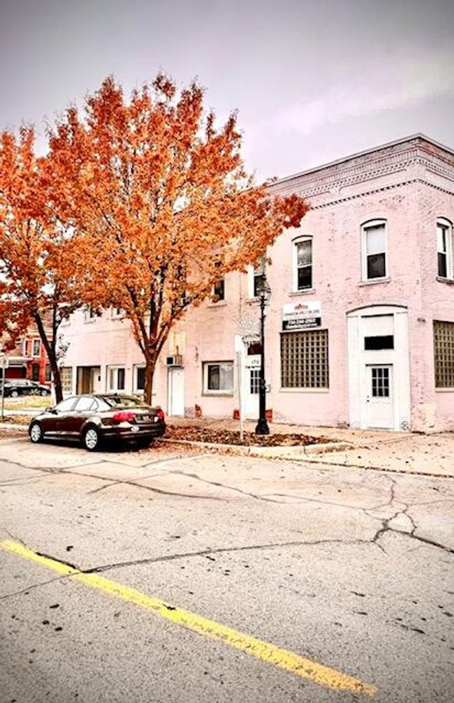 168 Riley St, Home with 0 bedrooms, 0 bathrooms and null parking in Dundee MI | Image 4