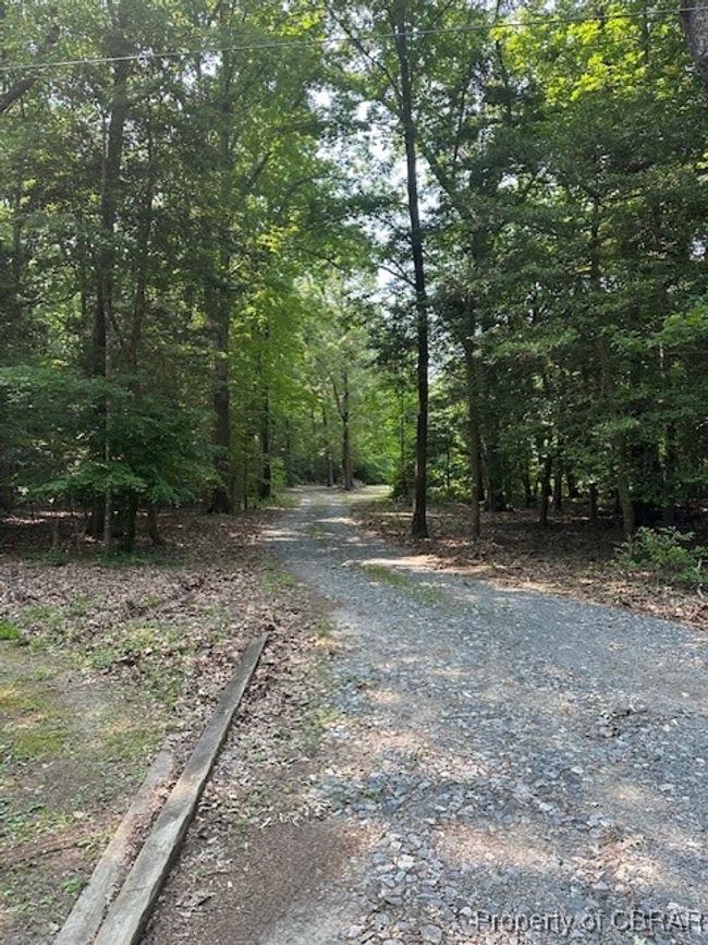 View of street featuring a wooded view | Image 20