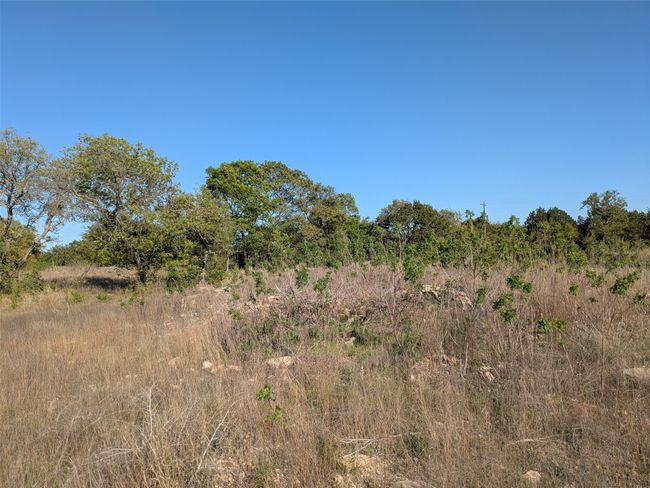 1314 County Road 127, Home with 0 bedrooms, 0 bathrooms and null parking in Carlton TX | Image 20