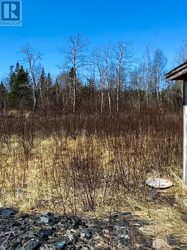 5 A Allen's Ave, House other with 4 bedrooms, 2 bathrooms and null parking in Embree NL | Image 21