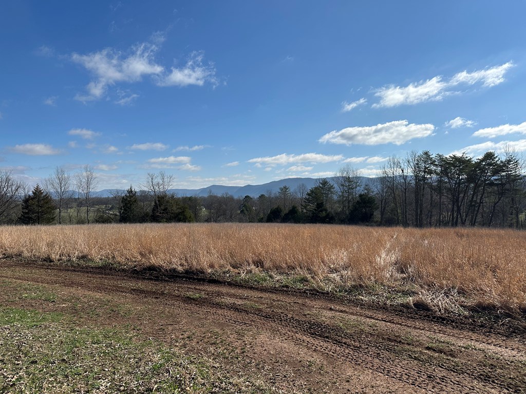 Land in Pikeville 4