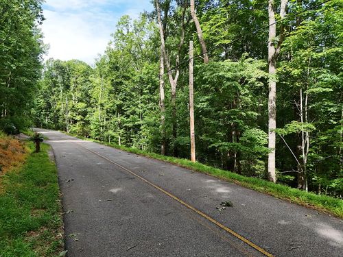 LOT 131 Laurel Xing, Blue Ridge, GA, 30513-4343 | Card Image