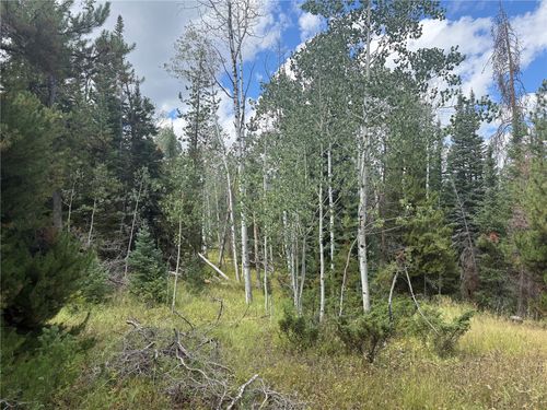20875 Mustang Way, Oak Creek, CO, 80467 | Card Image