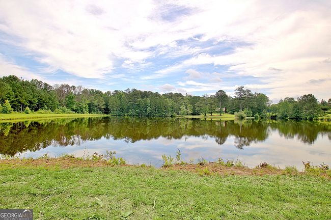 383 Beaumont Farms Dr, House other with 6 bedrooms, 5 bathrooms and null parking in Sharpsburg GA | Image 30
