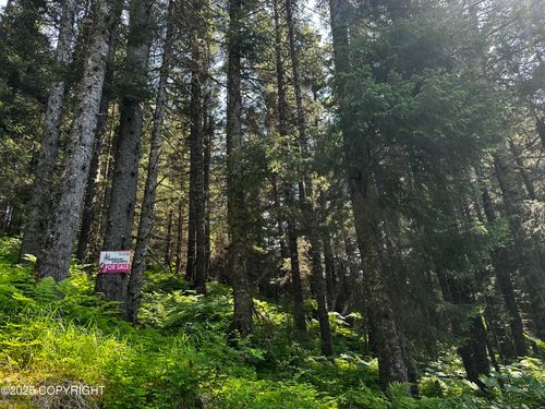 L15 B11 Malcolm St, Seldovia, AK, 99663 | Card Image