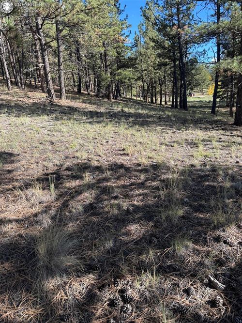44 Horn Silver Drive, Westcliffe, CO, 81252 | Card Image