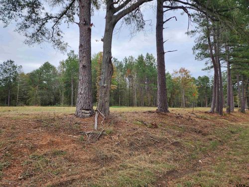 LOT 3 - TBD Ne Cr 363, Winona, TX, 75792 | Card Image