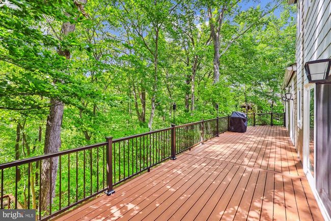 6364 Evangeline Ln, House other with 5 bedrooms, 6 bathrooms and null parking in ALEXANDRIA VA | Image 46