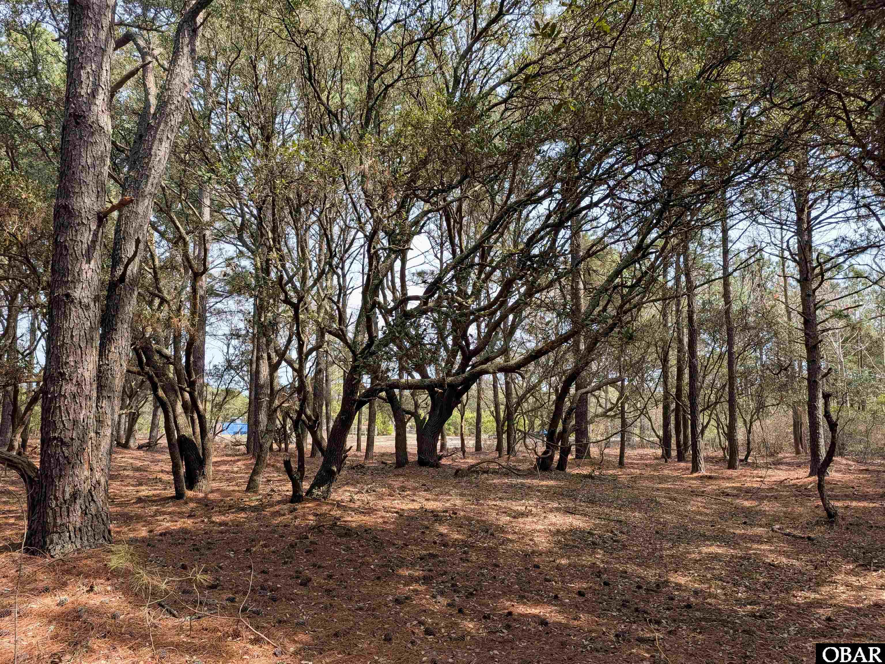 Land in Corolla 4