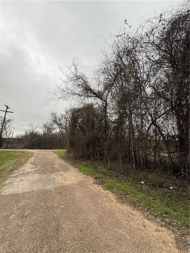 View of road | Image 4