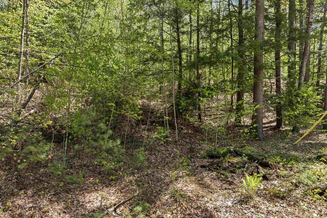 0 Stone Rd, Home with 0 bedrooms, 0 bathrooms and null parking in Gilmanton NH | Image 11