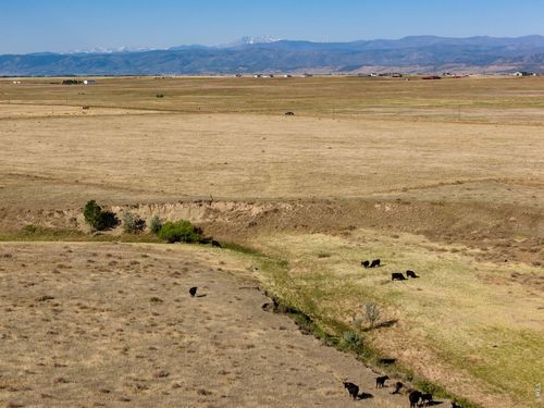 4 Cr 82, Wellington, CO, 80549 | Card Image