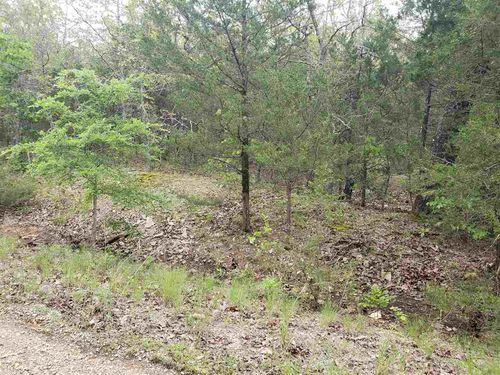 L-9 B-10 Pahokee Drive, Cherokee Village, AR, 72529 | Card Image