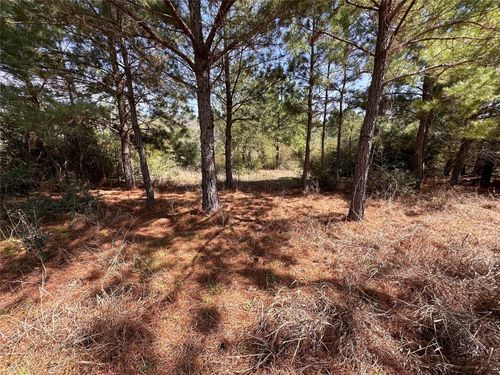TBD Hula Ln, Bastrop, TX, 78602 | Card Image