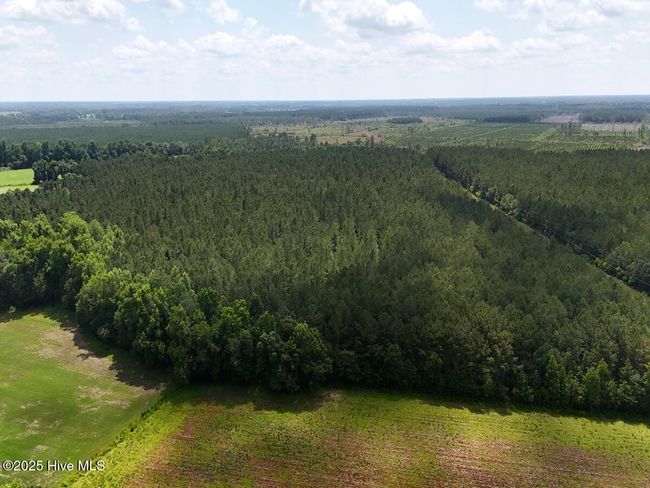 1 Barbee Rd, Home with 0 bedrooms, 0 bathrooms and null parking in Richlands NC | Image 11