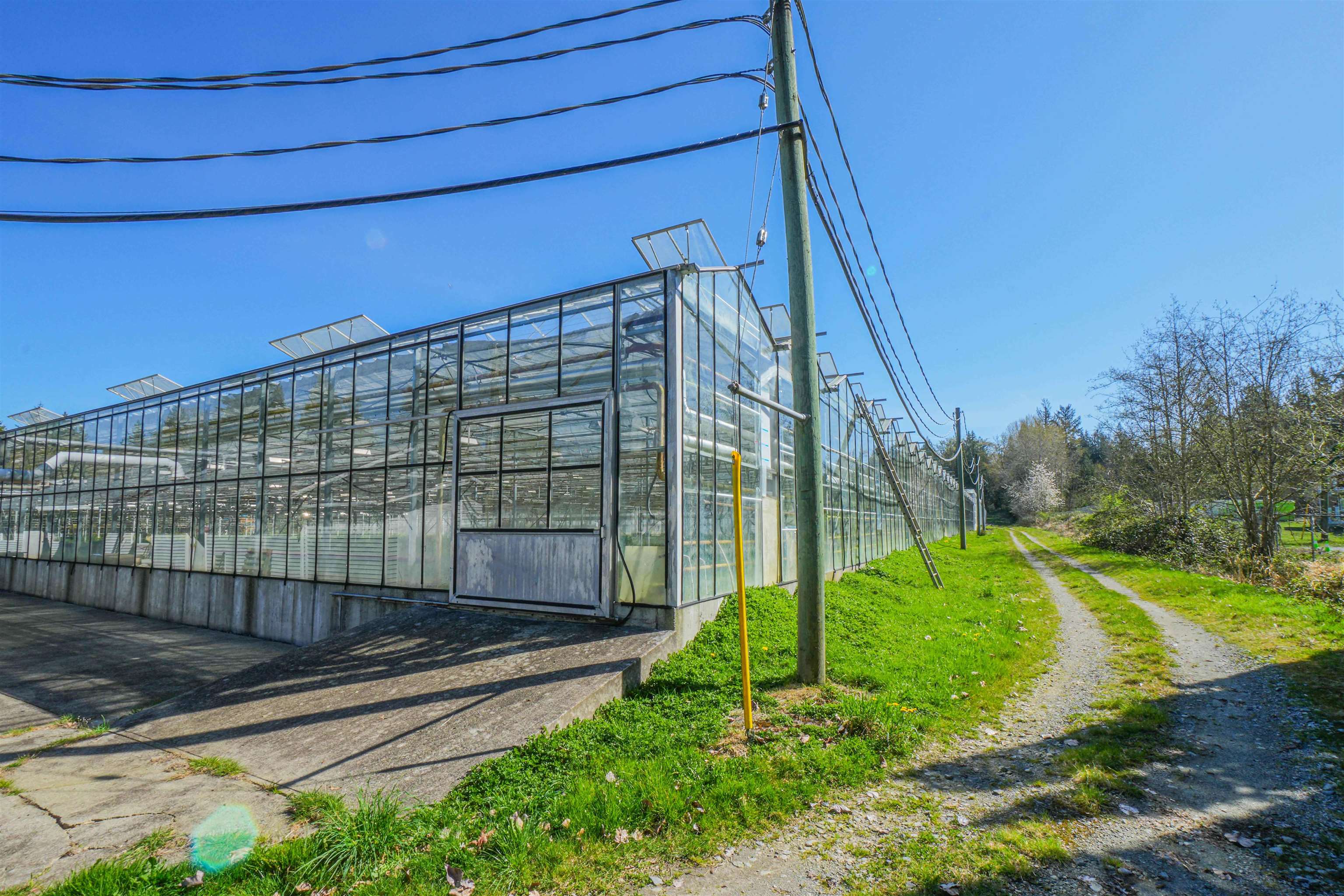 Residential in Maple Ridge 5