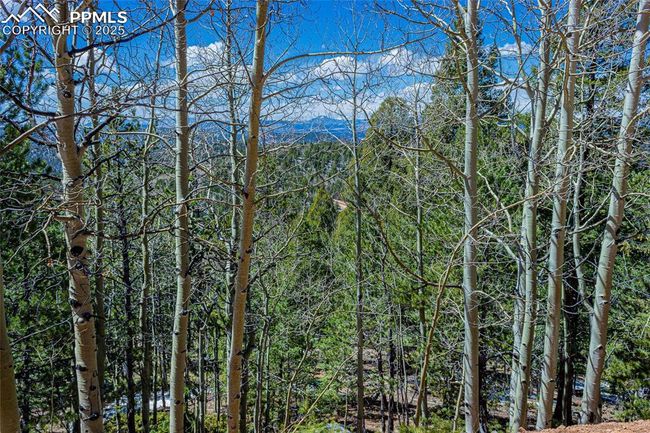 336 Witherite Dr, Home with 0 bedrooms, 0 bathrooms and null parking in Divide CO | Image 5