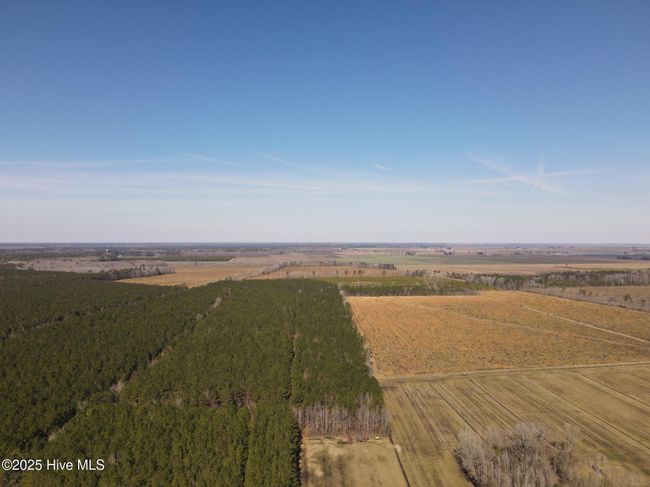 0 Free Union Church Rd, Home with 0 bedrooms, 0 bathrooms and null parking in Pinetown NC | Image 5