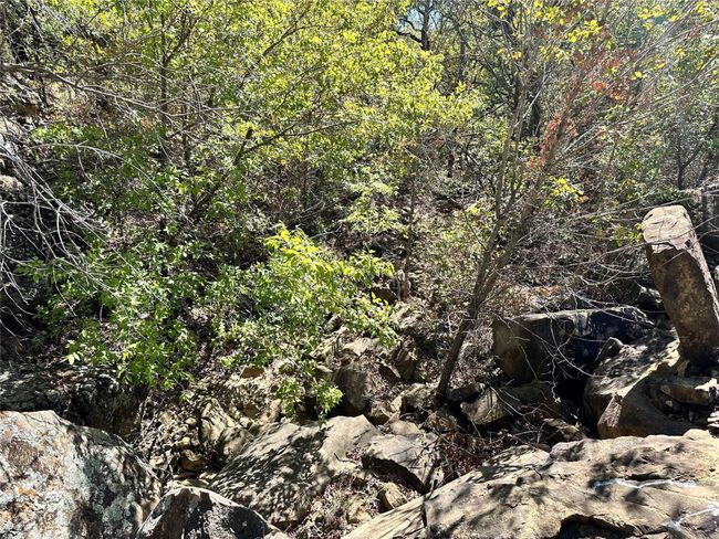 View of local wilderness featuring a forest view | Image 18