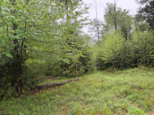 Lot 76 Bassilla Way, Davis, WV, 26260 | Card Image