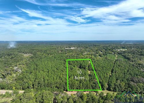 TBD Hwy 155 10 Acres, Avinger, TX, 75630 | Card Image