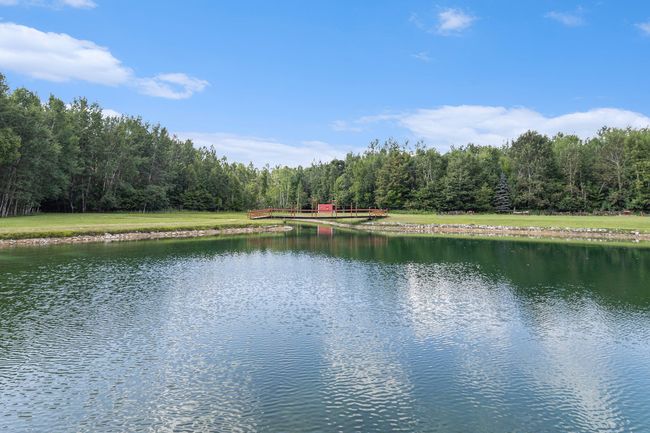 Pond | Image 6