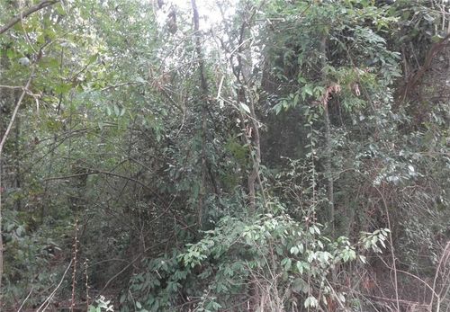 0 Waters St, Monticello, GA, 31064 | Card Image