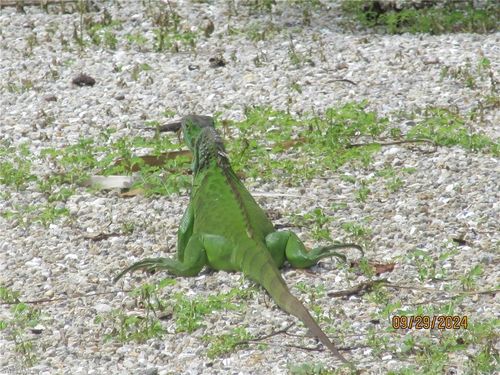 2754 Shoreview Dr, Naples, FL, 34112-5840 | Card Image