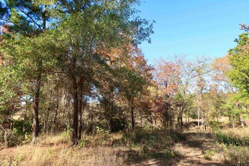 16619 Ridgeline Loop, Winona, TX, 75792-6218 | Card Image