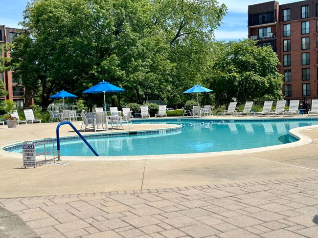 UNIT-312 - 111 Acacia Dr, Condo with 3 bedrooms, 2 bathrooms and 1 parking in Indian Head Park IL | Image 19