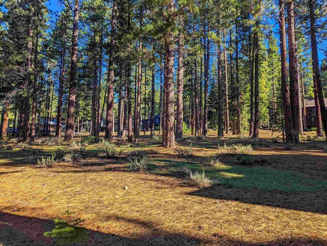 11561 Bottcher Loop, Home with 0 bedrooms, 0 bathrooms and null parking in Truckee CA | Image 9