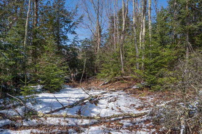 160-acre Pleasant Lake Rd, Home with 0 bedrooms, 0 bathrooms and null parking in Upson WI | Image 37