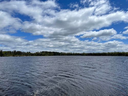 XXXX Murray Forest Rd, Ely, MN, 55731 | Card Image