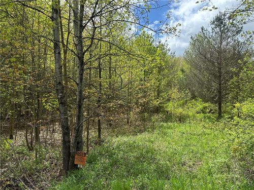 0 Pine Tree Rd, New Berlin, NY, 13411 | Card Image