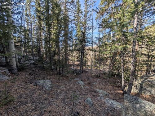 386 Brook Dr, Lake George, CO, 80827-9216 | Card Image