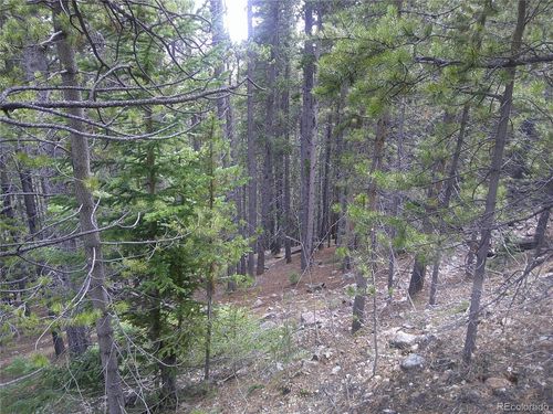 440 Hillside Rd, Idaho Springs, CO, 80452 | Card Image