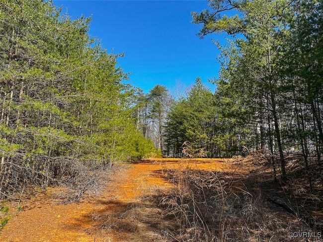 30.19 Acres (Off Of) Belvedere Dr, Home with 0 bedrooms, 0 bathrooms and null parking in Fieldale VA | Image 12